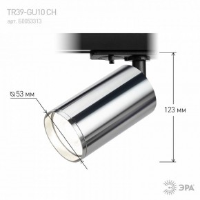 Светильник на штанге Эра  TR39-GU10 СН в Дегтярске - degtyarsk.ok-mebel.com | фото 7