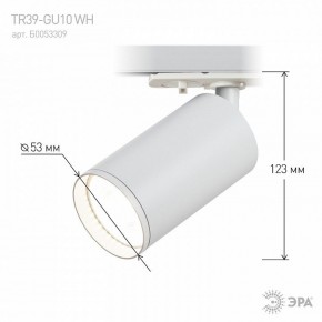 Светильник на штанге Эра  TR39-GU10 WH в Дегтярске - degtyarsk.ok-mebel.com | фото 7