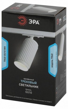 Светильник на штанге Эра  TR40-GU10 WH в Дегтярске - degtyarsk.ok-mebel.com | фото 7