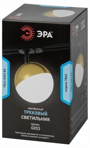 Светильник на штанге Эра  TR42-GX53 BS в Дегтярске - degtyarsk.ok-mebel.com | фото 6