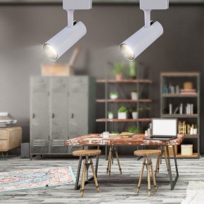 Светильник на штанге Эра  TR5-20 COB WH в Дегтярске - degtyarsk.ok-mebel.com | фото 4
