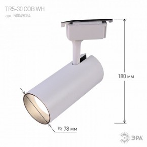 Светильник на штанге Эра  TR5-30 COB WH в Дегтярске - degtyarsk.ok-mebel.com | фото 6