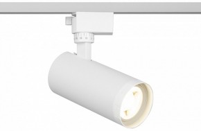 Светильник на штанге Эра  TR59 - 2040 WH в Дегтярске - degtyarsk.ok-mebel.com | фото