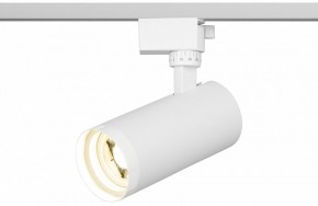 Светильник на штанге Эра  TR59 - 2040 WH в Дегтярске - degtyarsk.ok-mebel.com | фото 5