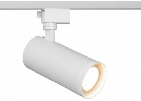 Светильник на штанге Эра  TR59 - 3030 WH в Дегтярске - degtyarsk.ok-mebel.com | фото