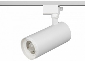 Светильник на штанге Эра  TR59 - 3030 WH в Дегтярске - degtyarsk.ok-mebel.com | фото 2