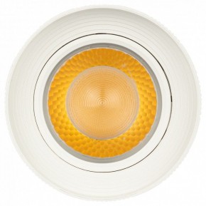 Светильник на штанге Эра  TR59 - 3030 WH в Дегтярске - degtyarsk.ok-mebel.com | фото 3