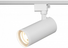 Светильник на штанге Эра  TR59 - 3030 WH в Дегтярске - degtyarsk.ok-mebel.com | фото 5