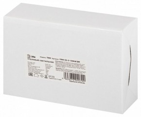 Светильник на штанге Эра  TRM-S5-3-12W4K-BK в Дегтярске - degtyarsk.ok-mebel.com | фото 8