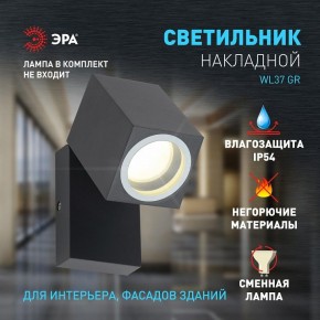 Светильник на штанге Эра WL37 GR Б0054409 в Дегтярске - degtyarsk.ok-mebel.com | фото 2