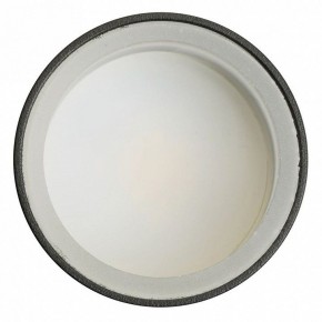 Светильник на штанге Feron ML1001 51371 в Дегтярске - degtyarsk.ok-mebel.com | фото 4