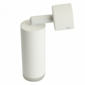 Светильник на штанге Feron ML1021 51390 в Дегтярске - degtyarsk.ok-mebel.com | фото 3