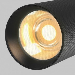 Светильник на штанге Maytoni Artisan TR097-2-12W2.7K-M-BB в Дегтярске - degtyarsk.ok-mebel.com | фото 9