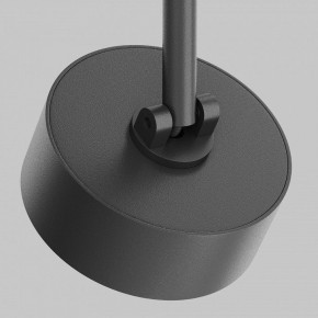 Светильник на штанге Maytoni Lens TR217-2-15W3K-B в Дегтярске - degtyarsk.ok-mebel.com | фото 11