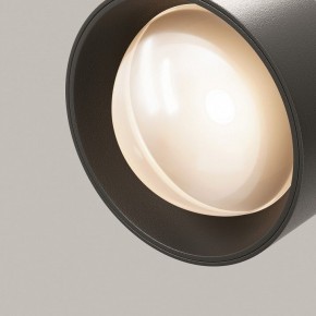 Светильник на штанге Maytoni Lens TR217-2-15W3K-B в Дегтярске - degtyarsk.ok-mebel.com | фото 12