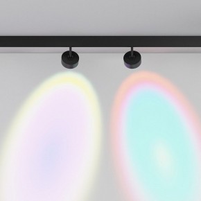 Светильник на штанге Maytoni Lens TR217-2-15W4K-B в Дегтярске - degtyarsk.ok-mebel.com | фото 6