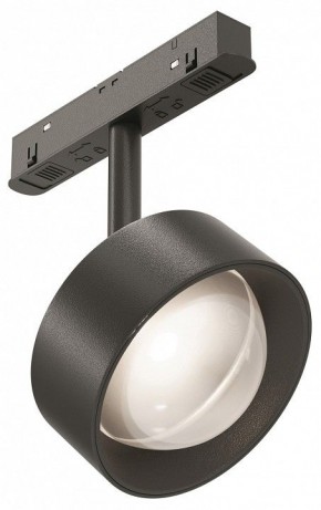 Светильник на штанге Maytoni Lens TR217-4-15WTW-DD-B в Дегтярске - degtyarsk.ok-mebel.com | фото