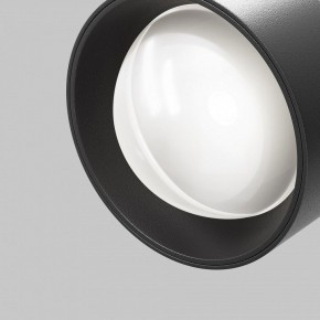 Светильник на штанге Maytoni Lens TR217-4-15WTW-DD-B в Дегтярске - degtyarsk.ok-mebel.com | фото 12