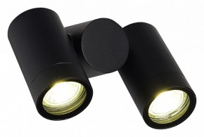 Светильник на штанге ST-Luce Ecollo SL9011.402.02 в Дегтярске - degtyarsk.ok-mebel.com | фото 3