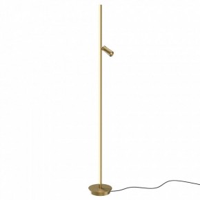 Торшер Maytoni Thin MOD395FL-L28BS3K в Дегтярске - degtyarsk.ok-mebel.com | фото