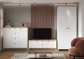 Тумба под ТВ Теодора в Дегтярске - degtyarsk.ok-mebel.com | фото 4