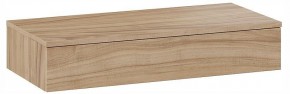 Тумбочка навесная ТД-102.08.02 в Дегтярске - degtyarsk.ok-mebel.com | фото 3